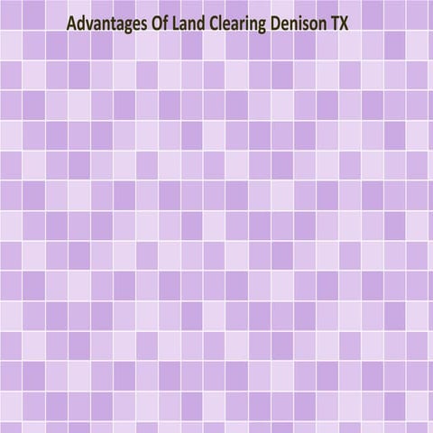 Advantages Of Land Clearing Denison TX