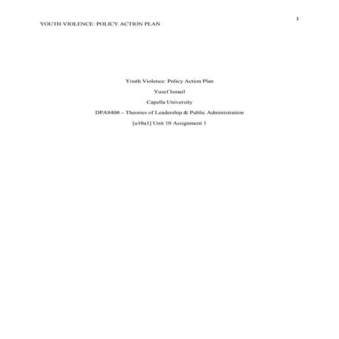 Final Assignment APA