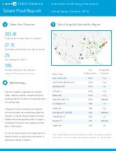US Information Technology Consultan...