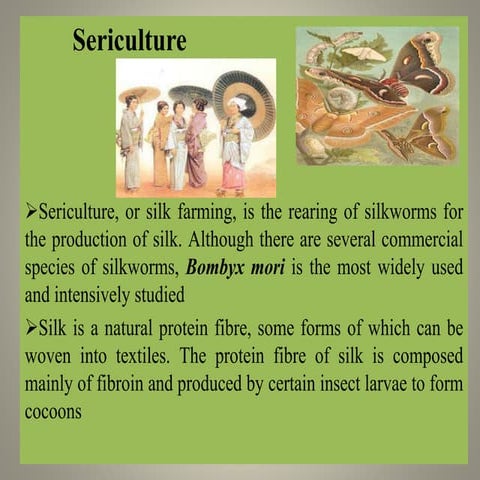 1399_sericulture ppt.pptx