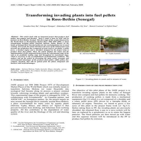 Transforming Invading Plants into Fuel Pellets in Senegal  