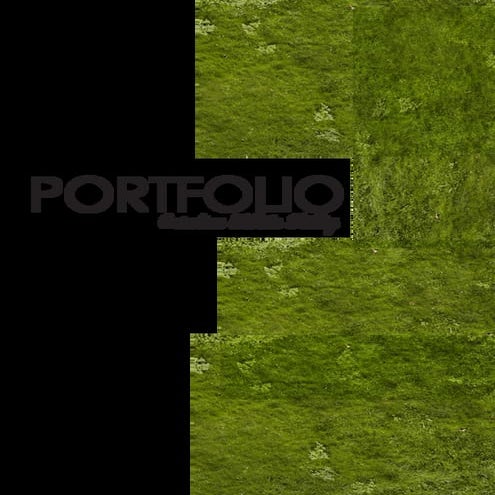 Caroline's Portfolio Comm 130