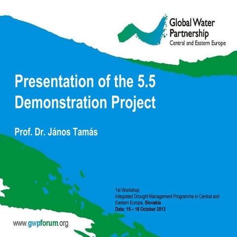 IDMP CEE Activity 5.5 by Janos Tamás