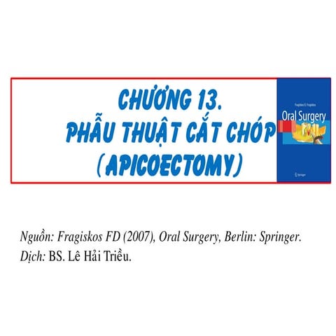 13 cat chop rang (Apicoectomy)