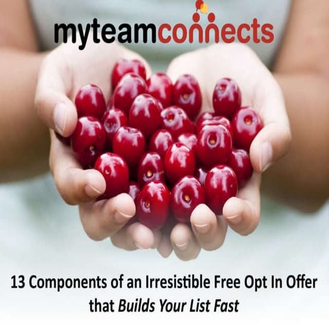 13 components of an irresistible free opt in offer
