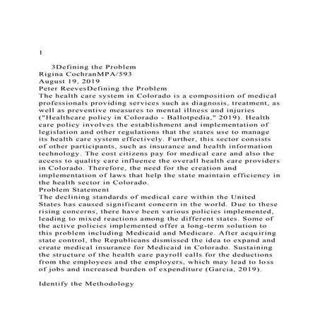 1     3Defining the ProblemRigina CochranMPA593August 1.docx