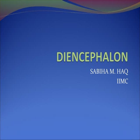 Diencephalon