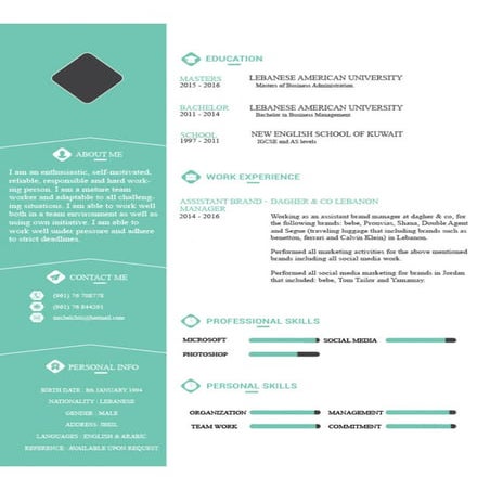 CV new | DOCX