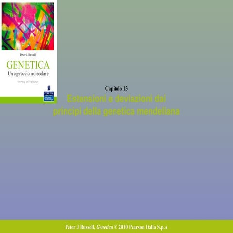 13 estensioni mendel