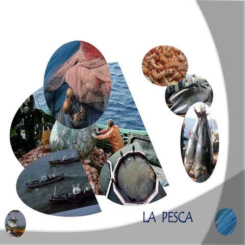 13 geo pesca 2010 2011