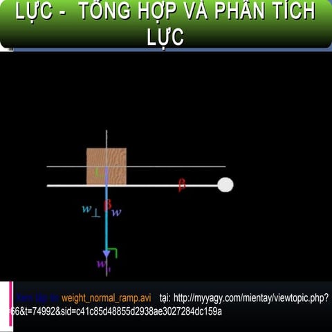 Tổng hợp và phân tích lực