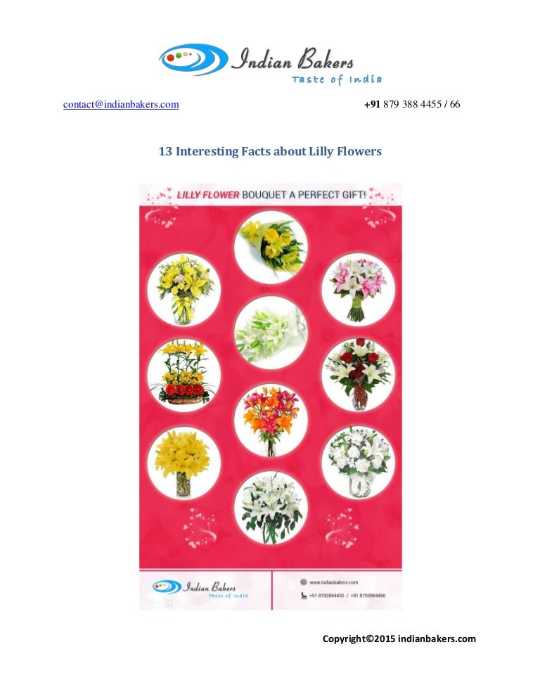 13 Interesting Facts about Lilly Flowers