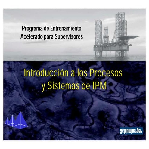 13 introducción a los procesos y sistemas de ipm