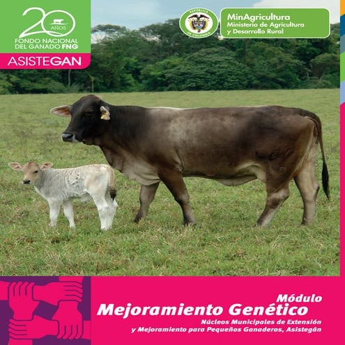 13 mejoramiento genetico