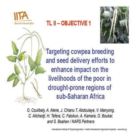 13 Ousmane Coulibaly Objective1cowpea