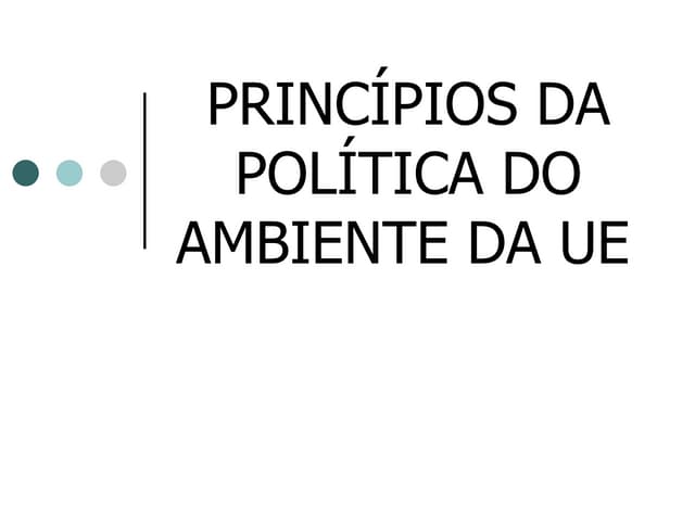13príncipios da politica do ambient...