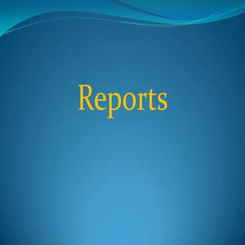 13 Reports