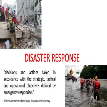 Comprehensive Strategies for Disaster Management: Understanding Risks ...