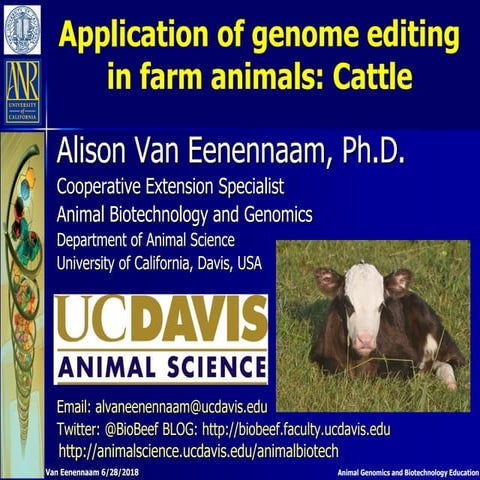 Application of genome editing  in farm animals: Cattle - Alison Van Eenennaam