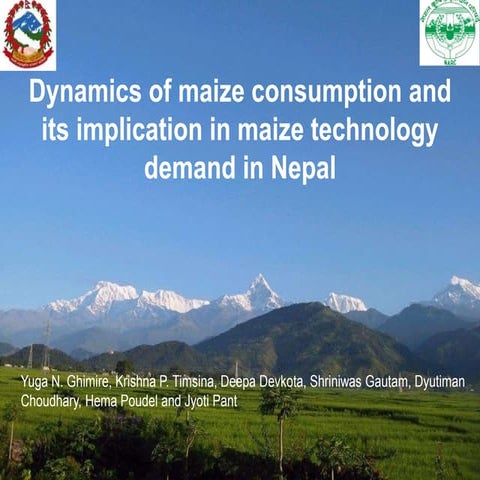 Dynamics of maize consumption in Nepal