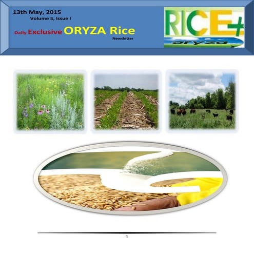 Fao rice price update september 2020 | PDF