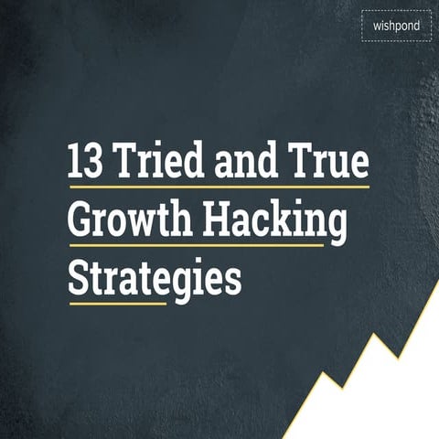 13 Tried and True Growth Hacking Strategies