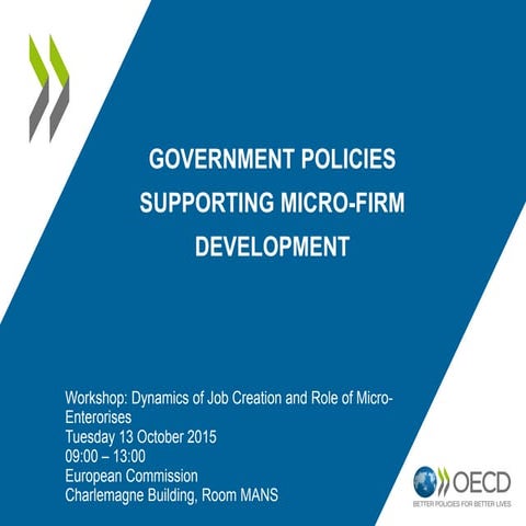 Government_policies_supporting_micro-firm_development. Anita Richter