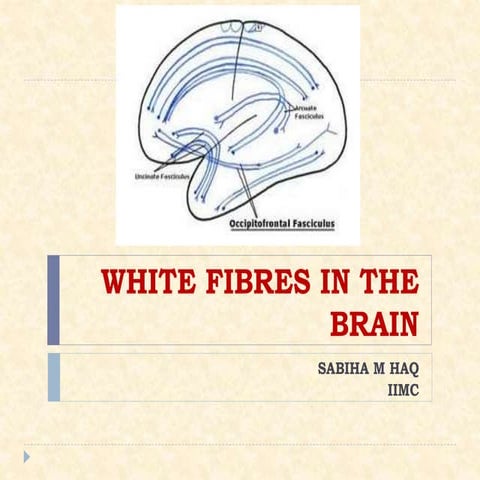 white fibres of cns modified