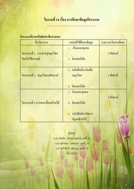 Test1 | PPTX