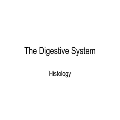 14. digestive system