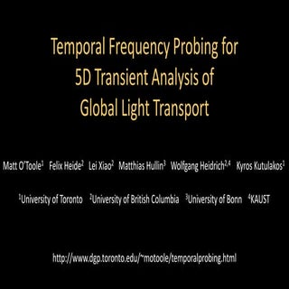 Temporal Frequency Probing for 5D T...