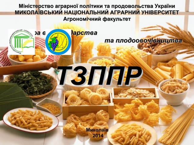 тзппр лекція 14