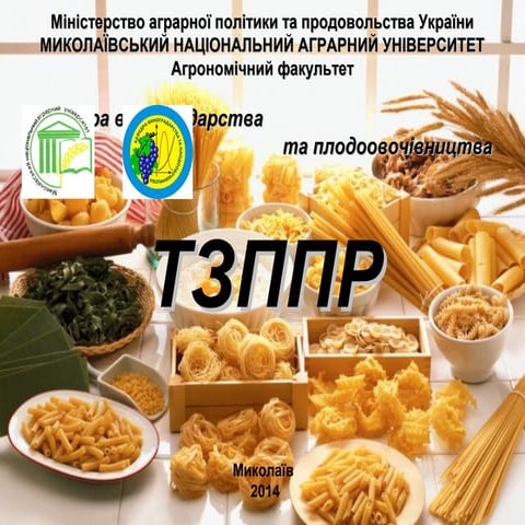 тзппр лекція 14