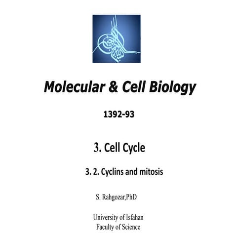 14.cell cycle- B - cell biology