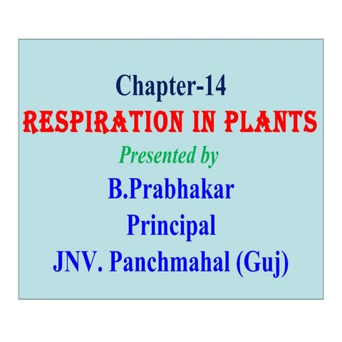 14. Respiration in Plants