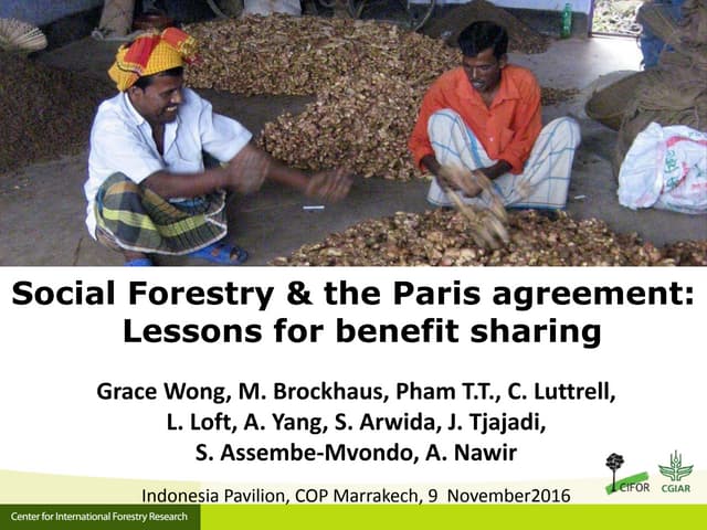 Social Forestry & the Paris agreement: Lessons for benefit sharing