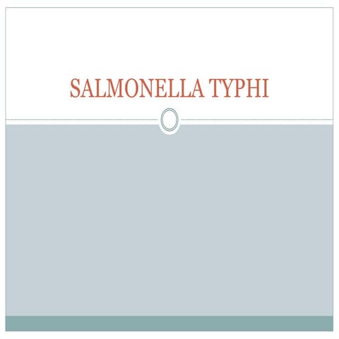 14. salmonella typhi