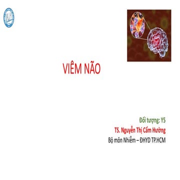 Viêm não - 2019 - Đại học Y dược TPHCM
