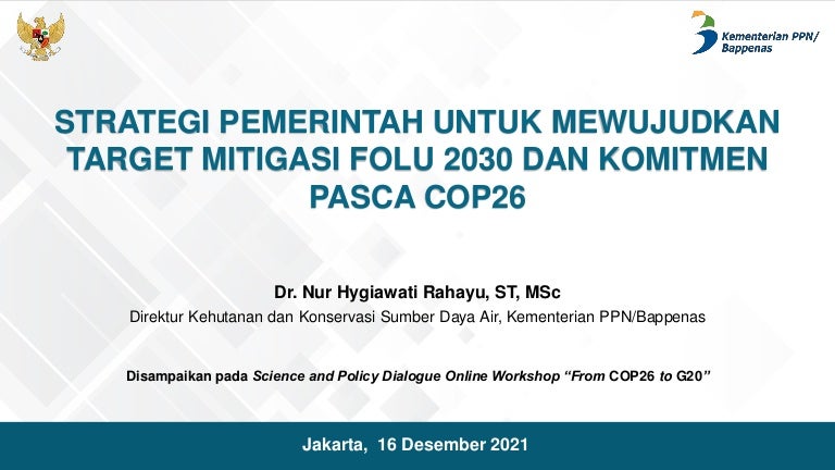 thumbnail of  Government strategies to achieve the 2030 FOLU mitigation target and post-COP26 commitment. How can research better contribute to policy?