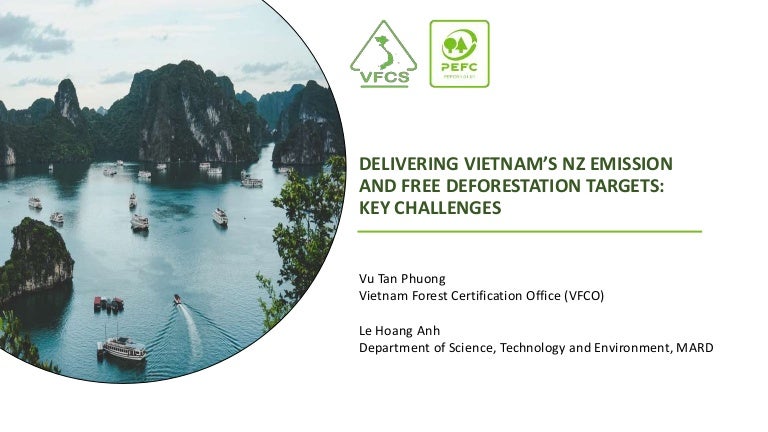 thumbnail of  Delivering Vietnam's NZ emission and free deforestation targets: Key challenges