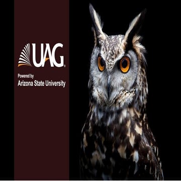 14. Accidentes por vehículos en movimiento.pptx