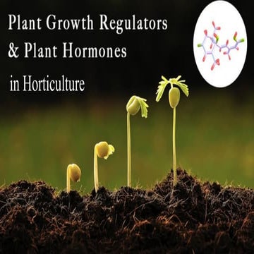 14.Plant Bio-regulators for horticulture.pptx