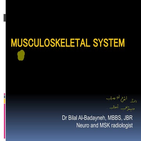 Comprehensive Overview of the Musculoskeletal System and Radiological ...