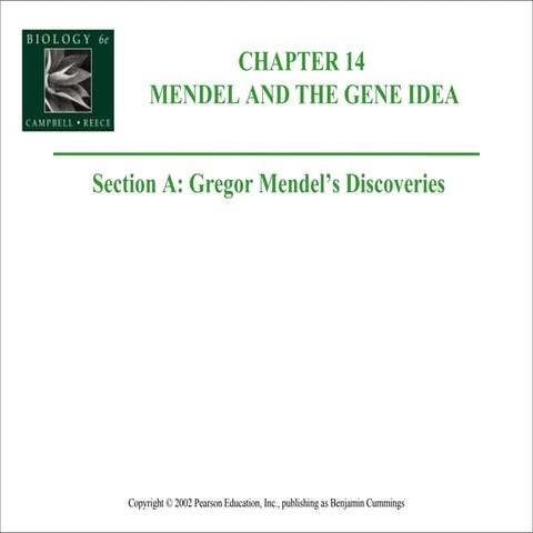14 mendel and the gene idea | PPT