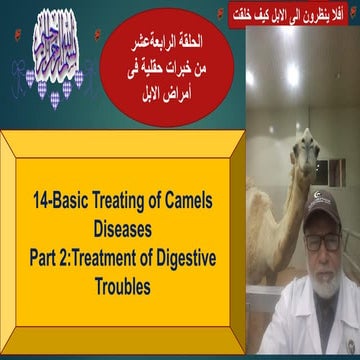 14-Basic Treating of Digestive trobules in Camels Prof Dr Hamed Attia.pdf