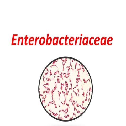 14- Coliforms final 2016(1).ppt