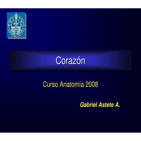 14. corazón