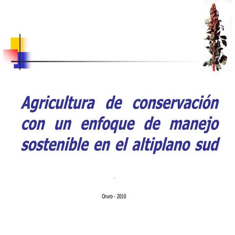 Cossio Jaime  - Agricultura de conservación con un enfoque de manejo sostenible en el altiplano sud _ R.M.