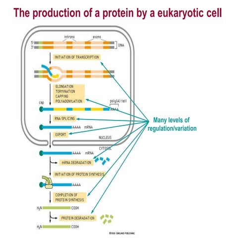 Post Translational modifications