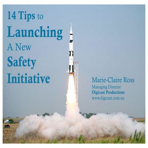 How to launch a Safety Initiative | PDF